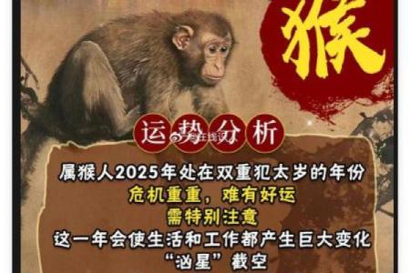 2106猴宝宝命理解析：聪慧如猴，人生精彩与挑战并存