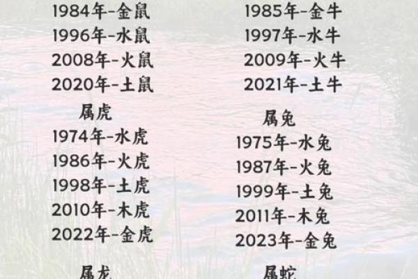 1982年鸡年出生者的命理解析与五行属性分析