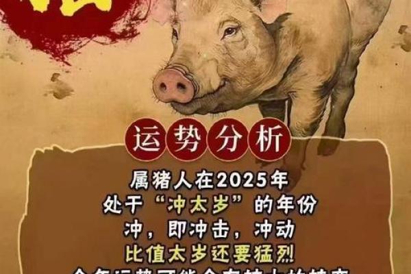 1971年属猪的金命：探寻命理背后的生活智慧
