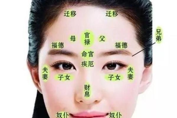 了解鼻孔不大又圆的命运与性格特征