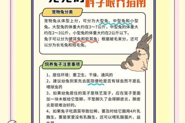 2006年兔年出生的人命运与性格解析:揭秘兔子的神秘魅力与命理奥秘 2006年兔年出生的人命运与性格解析:揭秘兔子的神秘魅力与命理奥秘