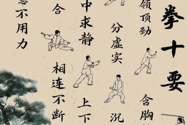 探寻太极命理学的奥秘：智慧与和谐的结合之道