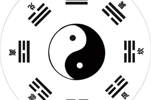 探寻太极命理学的奥秘：智慧与和谐的结合之道