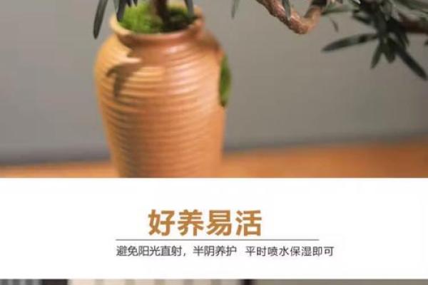 涧下水命人士适宜的植物与摆放技巧解析 涧下水命人士适宜的植物与摆放技巧解析