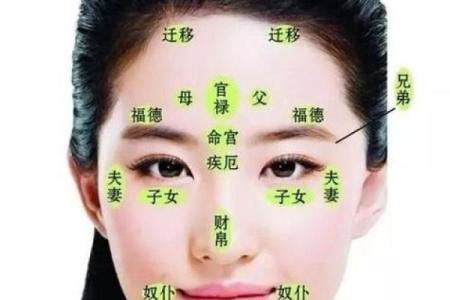 了解鼻孔不大又圆的命运与性格特征