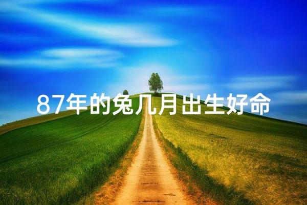 1987年属兔人的命运分析与人生启示 1987年属兔人的命运分析与人生启示