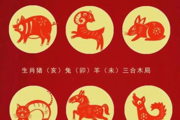 揭秘12年生肖与命运:你属于哪一种? 揭秘12年生肖与命运:你属于哪一种?
