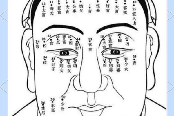 眉毛断了的面相秘密:揭示命运的隐藏线索! 眉毛断了的面相秘密:揭示命运的隐藏线索!