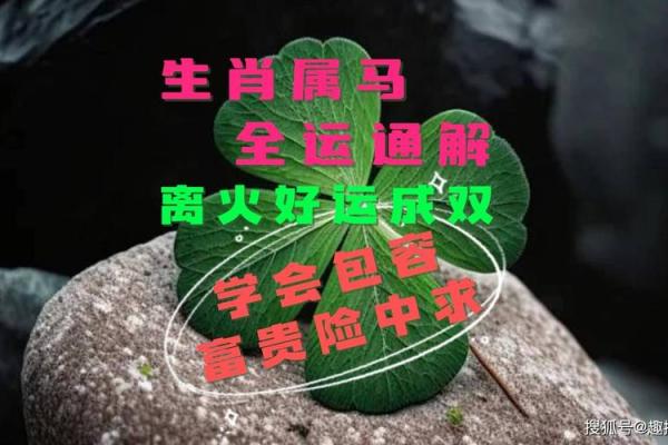 1990年属马,命中注定的性格与运势探秘 1990年属马,命中注定的性格与运势探秘