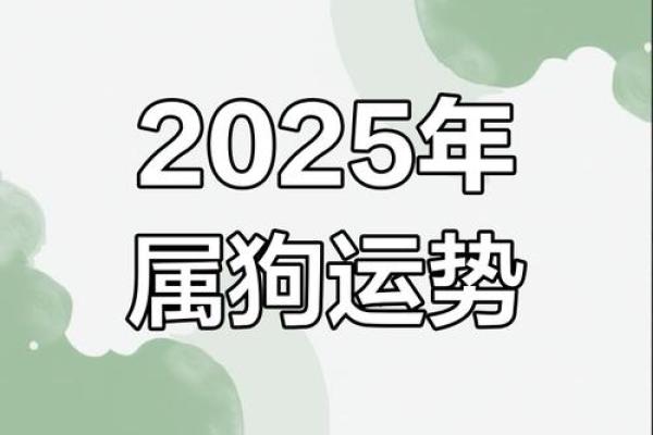 狗年出生的人属什么命?揭秘狗年命人的性格与运势! 狗年出生的人属什么命?揭秘狗年命人的性格与运势!