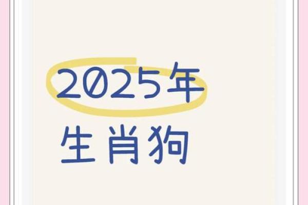 属狗人的命运与个性解析:十三岁的重要阶段 属狗人的命运与个性解析:十三岁的重要阶段
