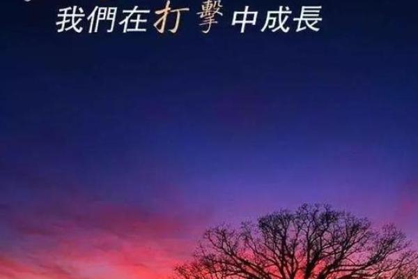 2000腊月十五的命理解读与人生启示 2000腊月十五的命理解读与人生启示