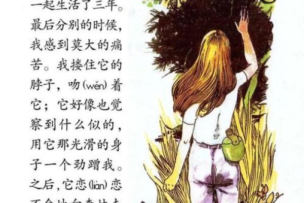 落魄狮子的自白:从王者到流浪的心声 落魄狮子的自白:从王者到流浪的心声
