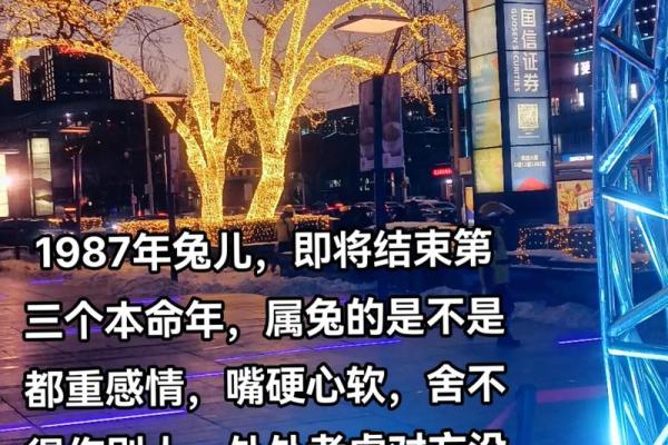 1987年属兔之人:命理解析与生活启示 1987年属兔之人:命理解析与生活启示