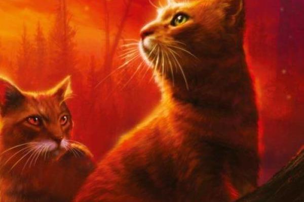 养什么动物都是什么命,解读宠物与命运的神秘关系 养什么动物都是什么命,解读宠物与命运的神秘关系