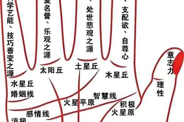 手相乾宫的奥秘:揭示命运之路的秘密与启示 手相乾宫的奥秘:揭示命运之路的秘密与启示