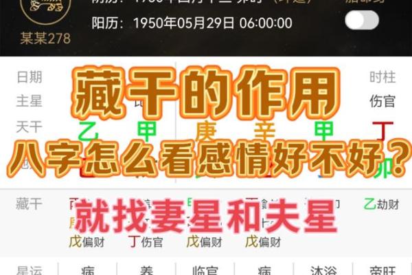 根据出生年份解密你的命运:一窥命理的奥秘 根据出生年份解密你的命运:一窥命理的奥秘