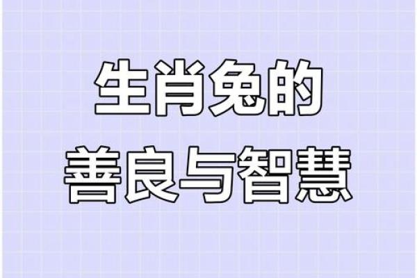 1999年属兔的命理解析与人生智慧 1999年属兔的命理解析与人生智慧