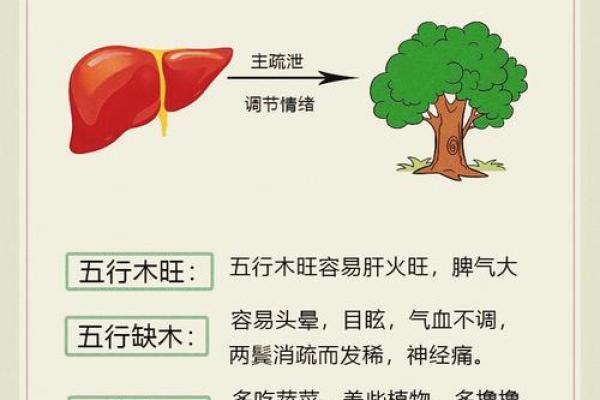 石榴木命与最佳搭档:探寻五行相生的和谐之道 石榴木命与最佳搭档:探寻五行相生的和谐之道