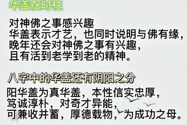 命带华盖的人适合学习哪些专业？探索适合华盖命人的职业道路