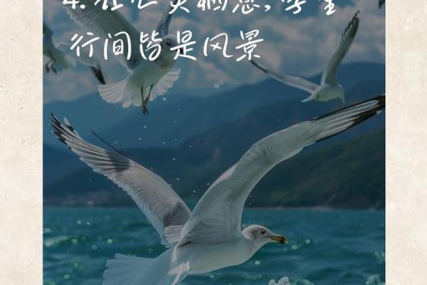 探索生命的奥秘：知命与缺字的智慧之旅