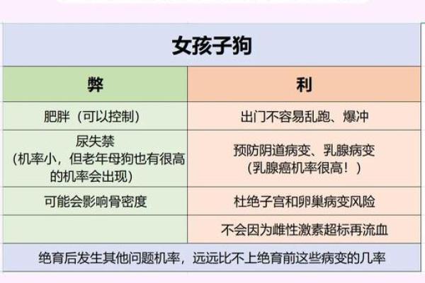 宠物对命格的影响:如何解读我们的命理与伴侣动物的关系 宠物对命格的影响:如何解读我们的命理与伴侣动物的关系