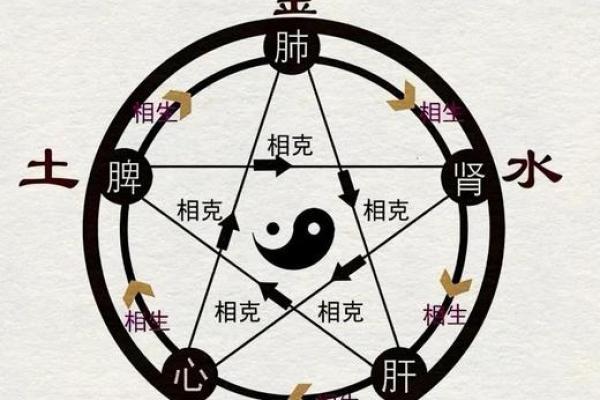 探索五行之道:揭开你的命格之谜 探索五行之道:揭开你的命格之谜