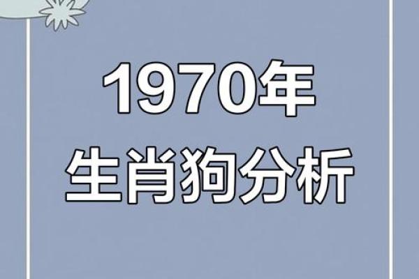 探秘1994年出生的狗年人:性格特点与未来发展 探秘1994年出生的狗年人:性格特点与未来发展
