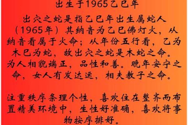 1993年出生的蛇:命理解析与人生启示 1993年出生的蛇:命理解析与人生启示