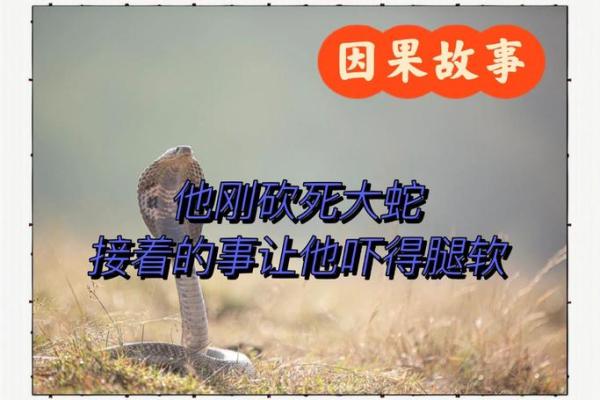 1993年出生的蛇:命理解析与人生启示 1993年出生的蛇:命理解析与人生启示