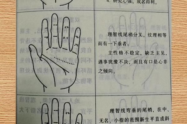 女性手掌暗示着哪些命运与未来?揭秘掌纹的奥秘 女性手掌暗示着哪些命运与未来?揭秘掌纹的奥秘