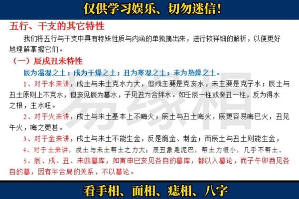 86年正月:五行命理与人生启示的探讨 86年正月:五行命理与人生启示的探讨