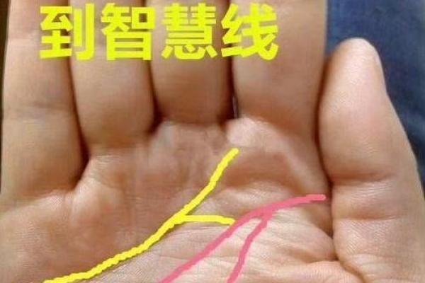 女人指缝不好是什么命,探寻手指与命运的奥秘 女人指缝不好是什么命,探寻手指与命运的奥秘