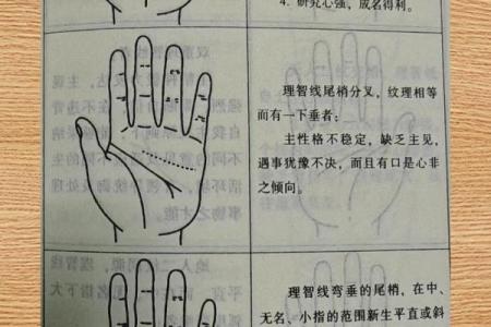 女性手掌暗示着哪些命运与未来？揭秘掌纹的奥秘