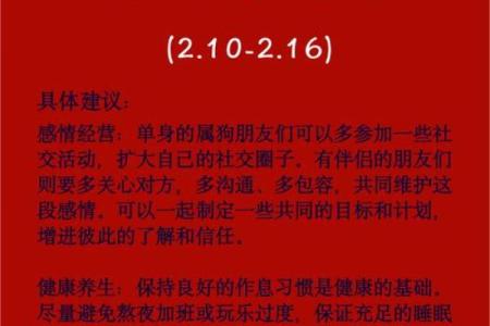 82年属狗人的命运解读与性格分析