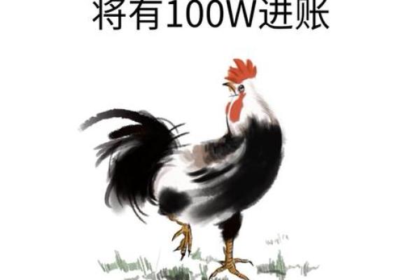 93年属鸡的命运与人生轨迹探索:探寻未来的无限可能 93年属鸡的命运与人生轨迹探索:探寻未来的无限可能