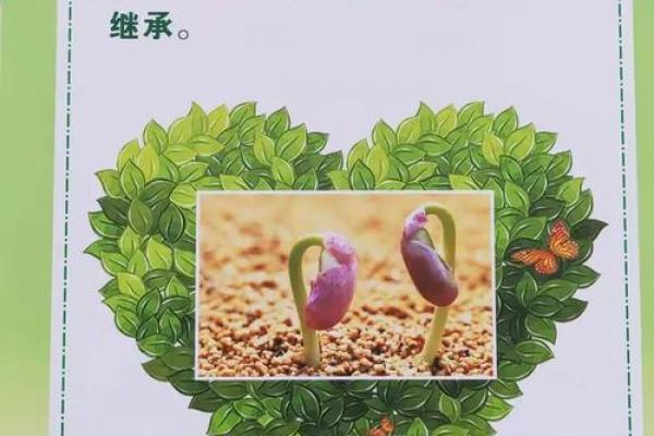 1995年出生者的命运与性格分析:探索生命的奥秘 1995年出生者的命运与性格分析:探索生命的奥秘