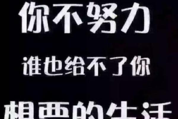 不干活的命运:揭示懒惰与努力的法则 不干活的命运:揭示懒惰与努力的法则