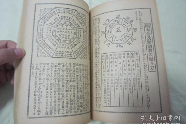 1994年的命运:探索命理与人生的深层联系 1994年的命运:探索命理与人生的深层联系