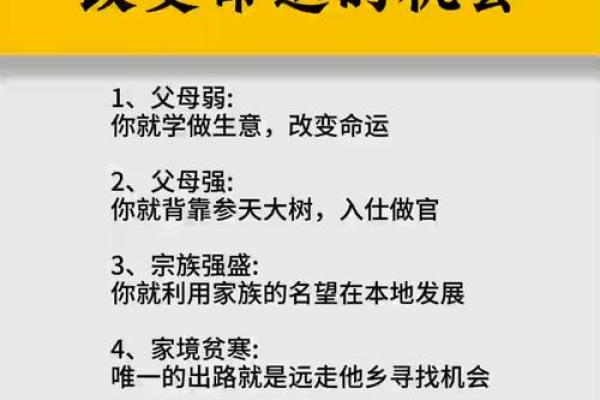 1994年的命运:探索命理与人生的深层联系 1994年的命运:探索命理与人生的深层联系