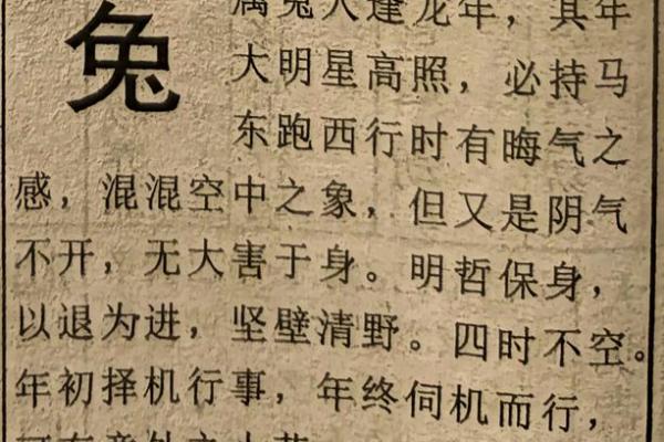 2023年兔年运势解析:掌握命格,迎接幸福人生! 2023年兔年运势解析:掌握命格,迎接幸福人生!