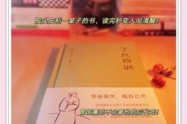 头发少的人命中注定要走的独特人生之路