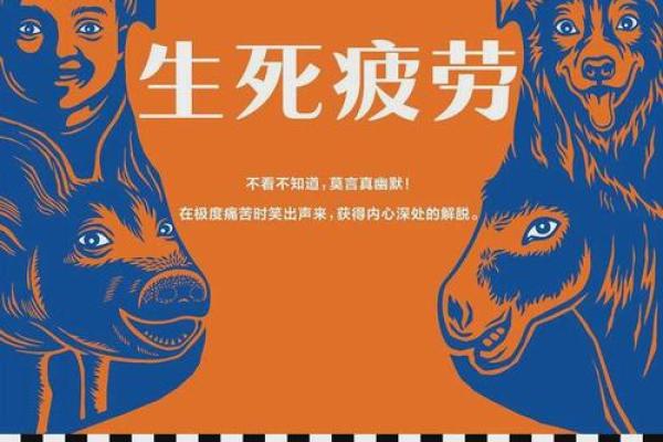 舔狗命之外，我们还有什么命？探寻人生真正的价值与意义