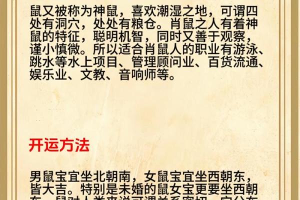 1956年属什么生肖？揭秘生肖鼠的特点与命运