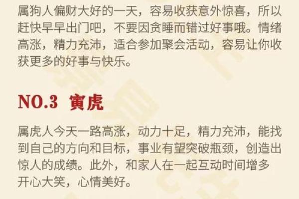 生肖命格解析：如何通过生肖看自己的命运与运势变化