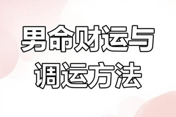 探寻命运之道：揭秘木命人与合财运的最佳搭档