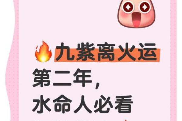 16水命者的生活指南：如何通过五行提升运势与幸福感