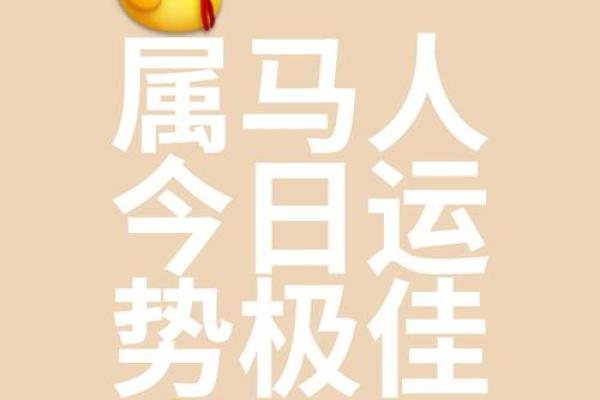 2002年马命的运势与人生启示:活出精彩人生的智慧 2002年马命的运势与人生启示:活出精彩人生的智慧
