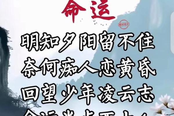 再烂的命也是命:人生的无奈与希望 再烂的命也是命:人生的无奈与希望