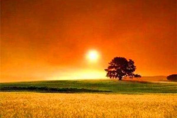 火命人适合的行业:探索职场中的光芒与激情 火命人适合的行业:探索职场中的光芒与激情